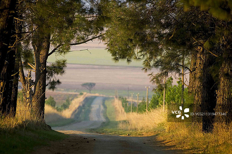 德拉肯斯堡，南非，南非德拉肯斯堡，沿着乡村公路穿过农田的景色。图片素材