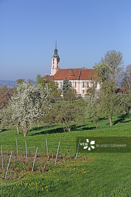 乌尔丁根修道院西多会修道院，Baden-Württemberg，德国图片素材