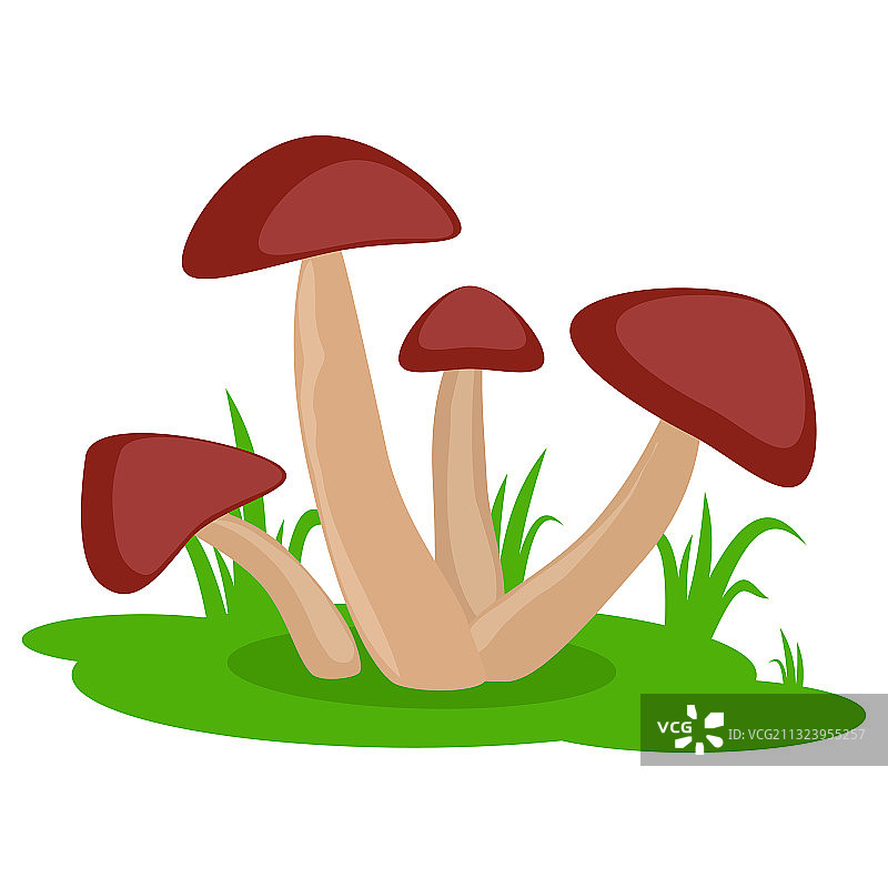蘑菇上草卡通图标孤立上图片素材