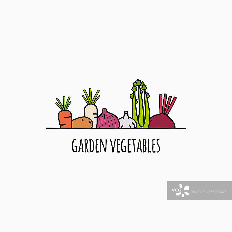 蔬菜线形标志花园蔬菜上白色图片素材