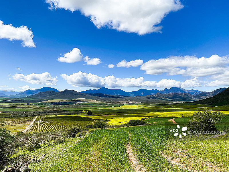 南非Redelinghuys的天空映衬下的农田风景图片素材