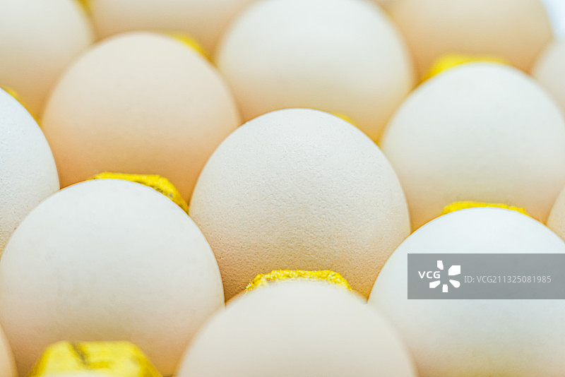 卵,清新,鸡蛋,图像,有机食品图片素材