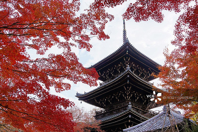 秋天红叶建筑图片素材