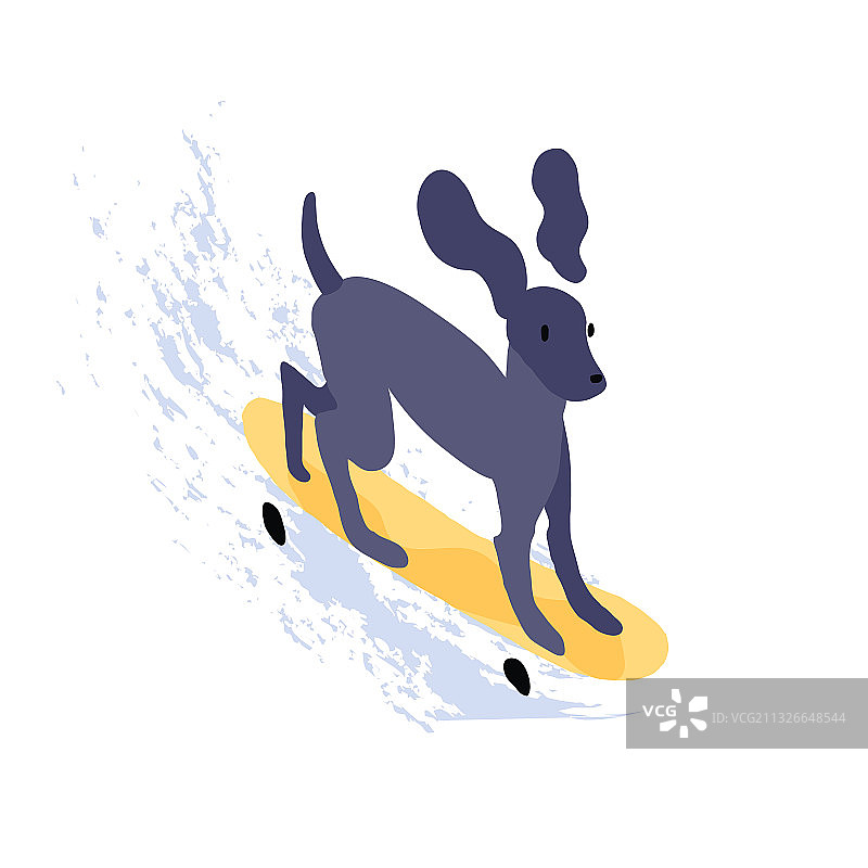可爱的狗骑滑板，有趣的小狗溜冰图片素材