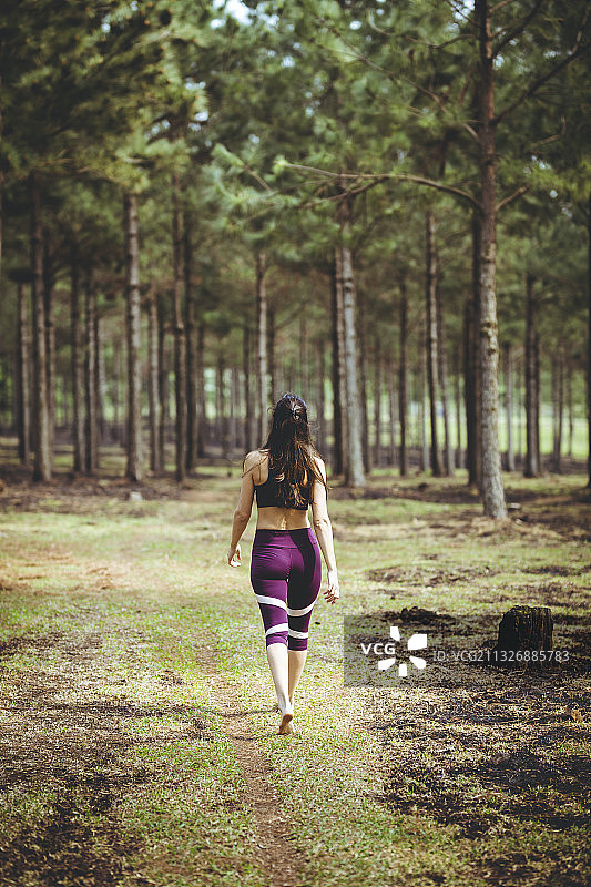 后视图的女人走在森林里，Cerro Azul,Misiones，阿根廷图片素材