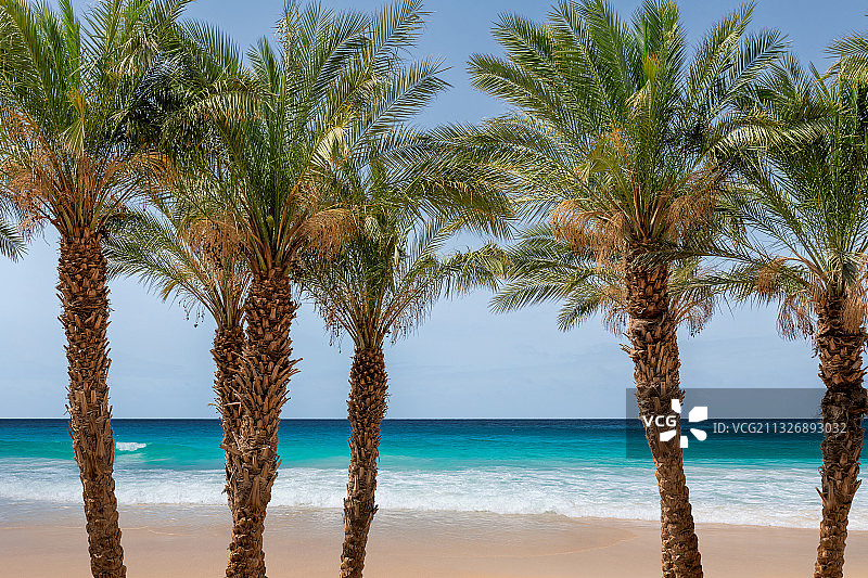 海滩上棕榈树对天空的风景图片素材