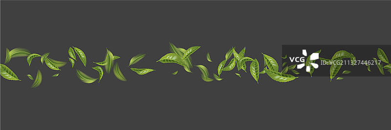 美丽的飞翔的绿茶叶子图片素材