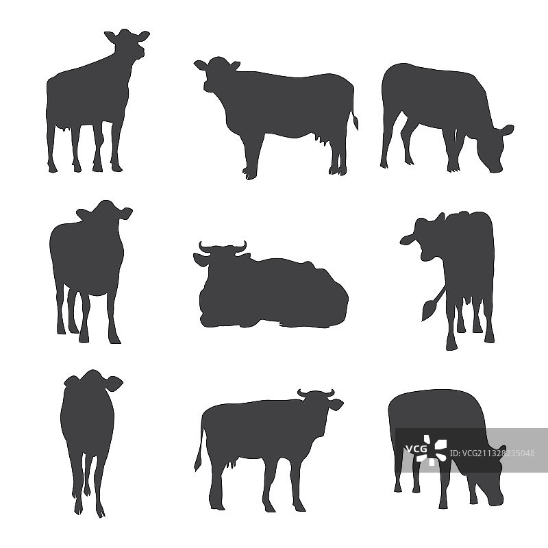 设置不同姿势的奶牛黑色剪影图片素材