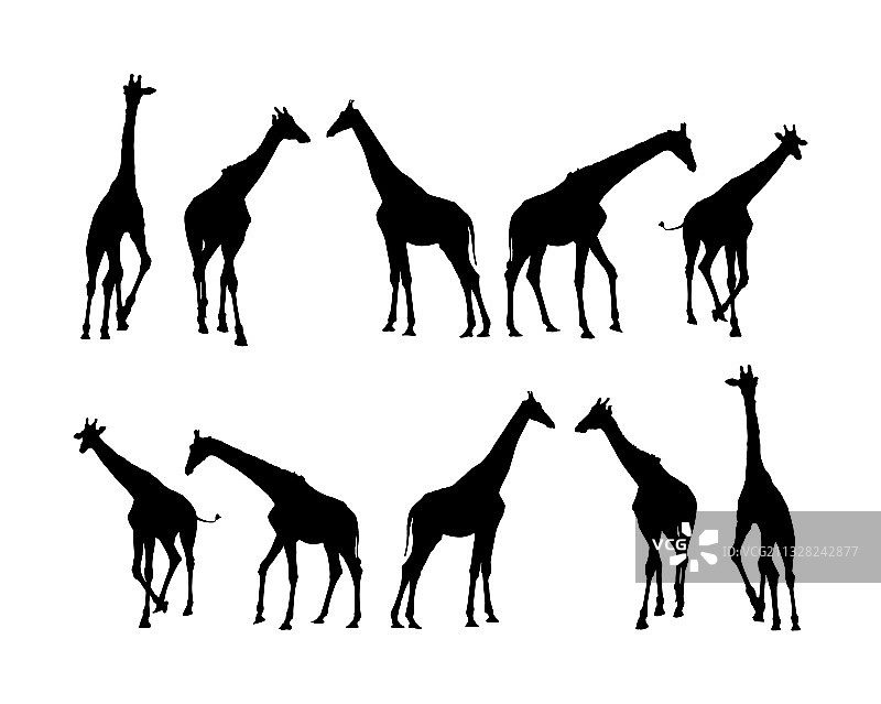 长颈鹿轮廓孤立图片素材