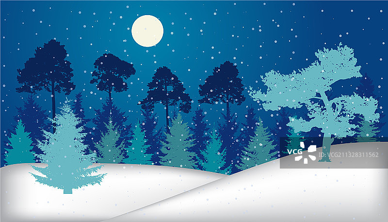 夜晚冬天森林里有雪的剪影图片素材