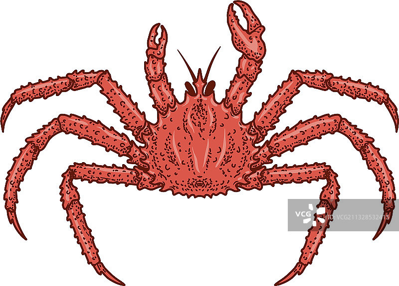 螃蟹在雕刻风格设计元素为标志图片素材