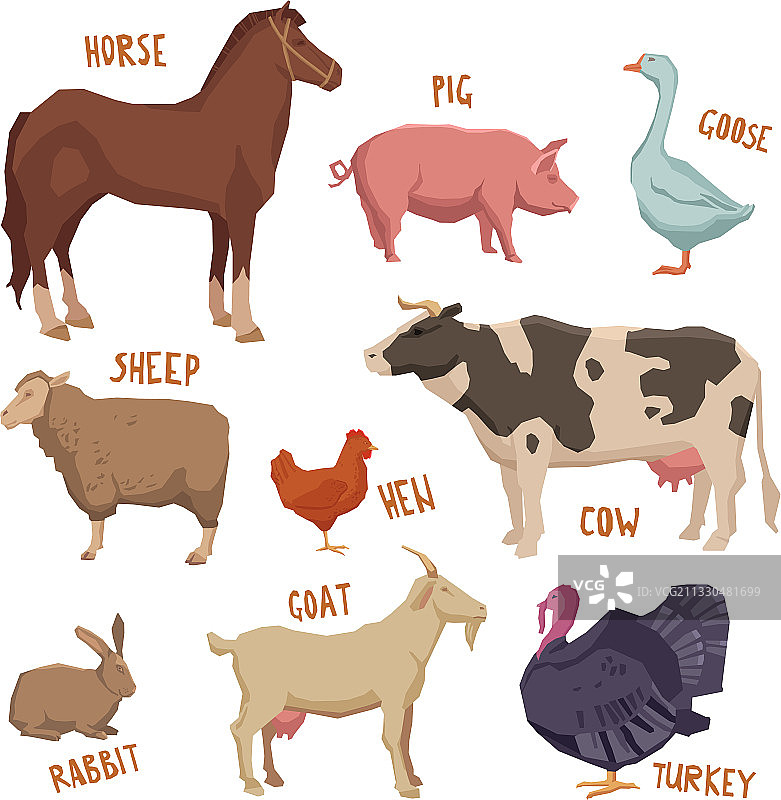 农场动物组图片素材
