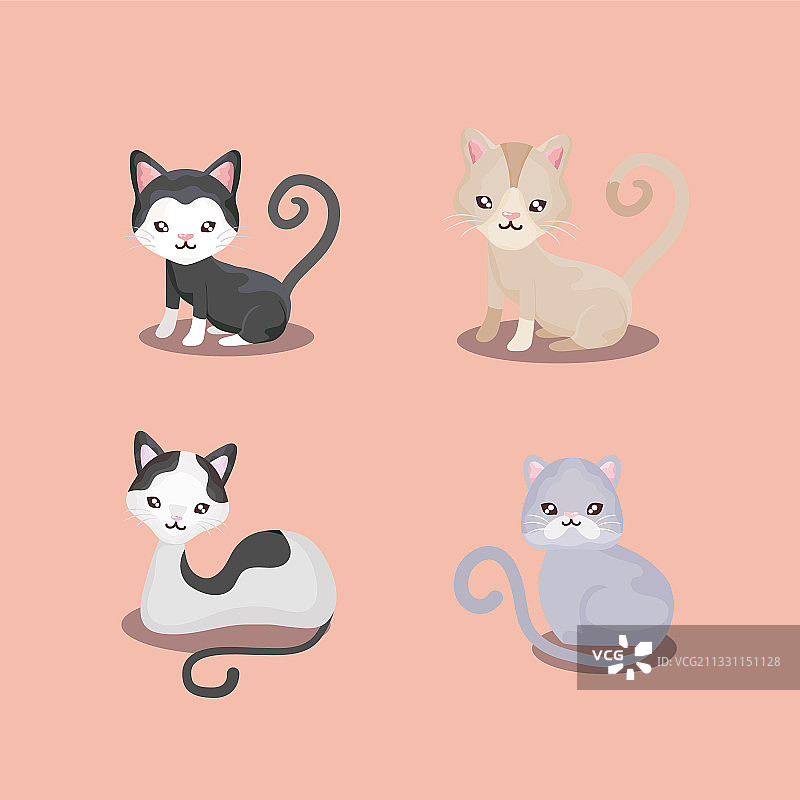 宠物设置图标不同的猫猫坐图片素材
