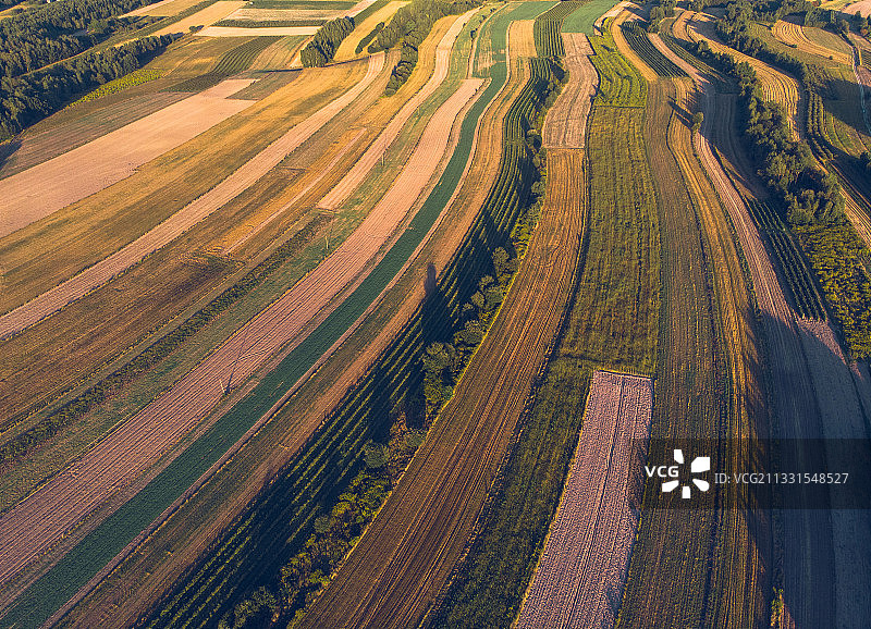 波兰农田的高角度视图图片素材