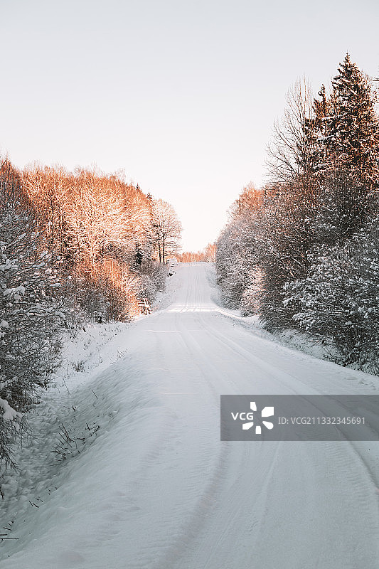 拉脱维亚的冬天，树木中空荡荡的道路，映衬着天空图片素材