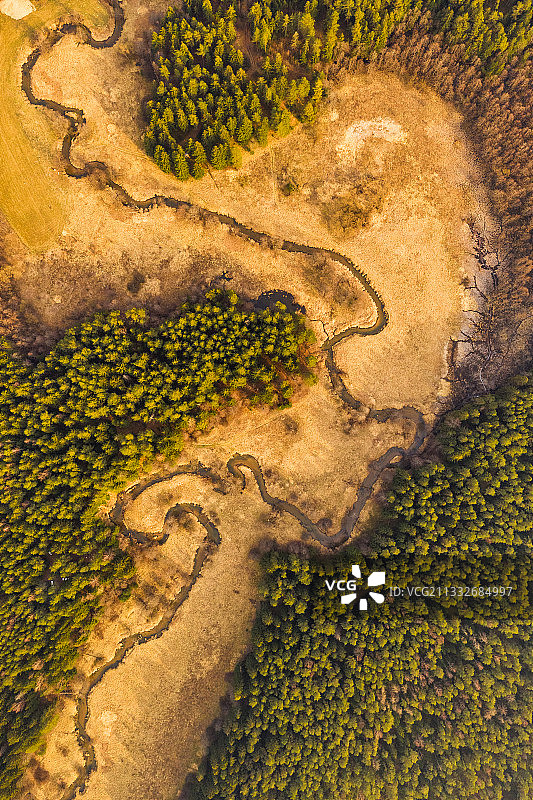 鸟瞰图中的河流在树林中，白俄罗斯图片素材