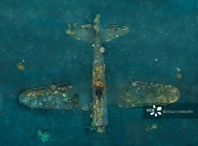 Tara Pacific expedition - 2017年11月Zero沉船，3D摄影测量垂直视图Orthomosaic (13500 x 10000像素)。巴布亚新几内亚的金贝湾，15米长，沉船上的珊瑚生长已经有74年的历史了!ZERO是一架日本二战战斗机的残骸。这艘沉船是2000年1月被当地的威廉姆·努利发现的，当时他正在自由潜水寻找海参。他问瓦林迪种植园度假村的潜水队是否知道这是什么，当他们调查时，他们发现了一架零式战斗机的完整残骸，躺在15米深的沉积物底部。这架二战中的日本战斗机几乎是完整无缺的。据信飞机已经迫降，飞行员生还，但在岛上没有找到。他再也没有回家。也许他消失在丛林里了?1943年12月26日，在格洛斯特角(Cape Gloucester)战役中，日本飞行员紧急迫降，他的三菱A6M零型(Mitsubishi A6M Zero)飞机在距西新不列颠约100米的海面上迫降图片素材