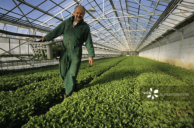 法国里维埃拉一个温室里的农民图片素材