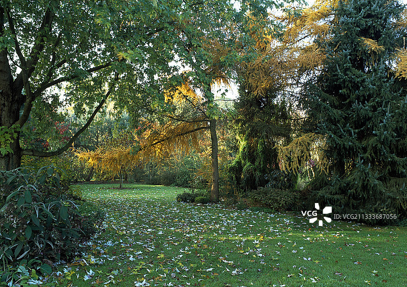 秋天的贝尔维尤花园图片素材