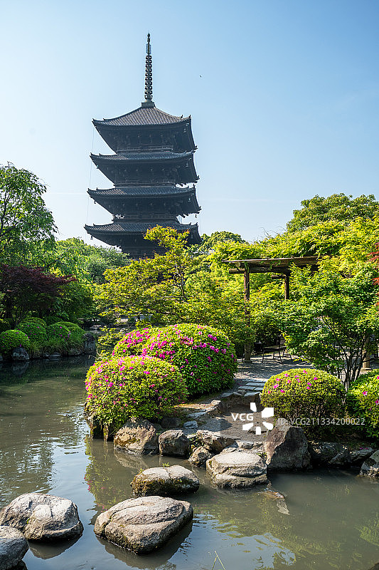 五塔在Tôji寺与锦鲤和杜鹃花，日本图片素材