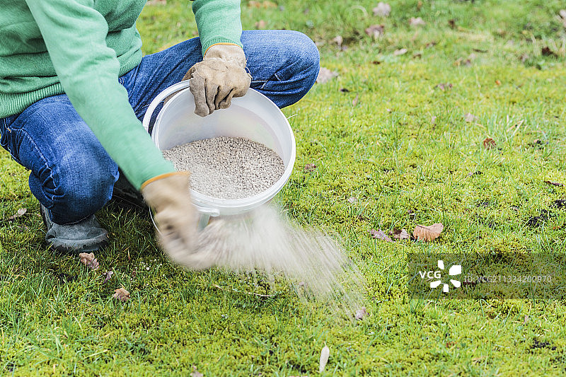 在草坪上添加石灰以减少苔藓的生长。石灰通过改变土壤表面的化学条件来对抗苔藓。它是一种防治草坪苔藓生长的生物防治方法。图片素材