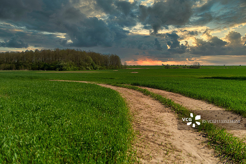 日落时分，白俄罗斯的农田景色图片素材