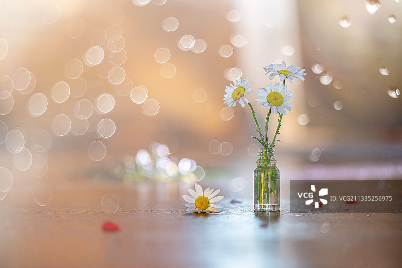 桌子上花瓶里的花的特写图片素材