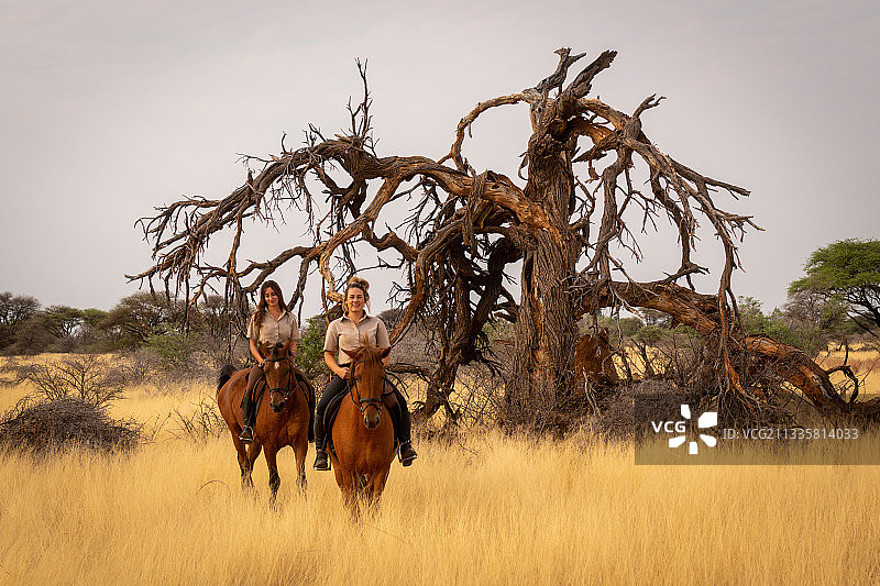 纳米比亚Otjozondjupa地区，两名微笑的妇女骑着马经过一棵枯树图片素材