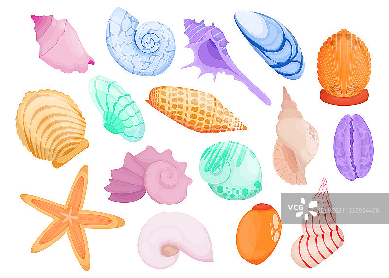 多色手绘贝壳扁平项目设置图片素材