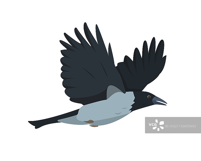 飞行乌鸦图标孤立的白色背景图片素材