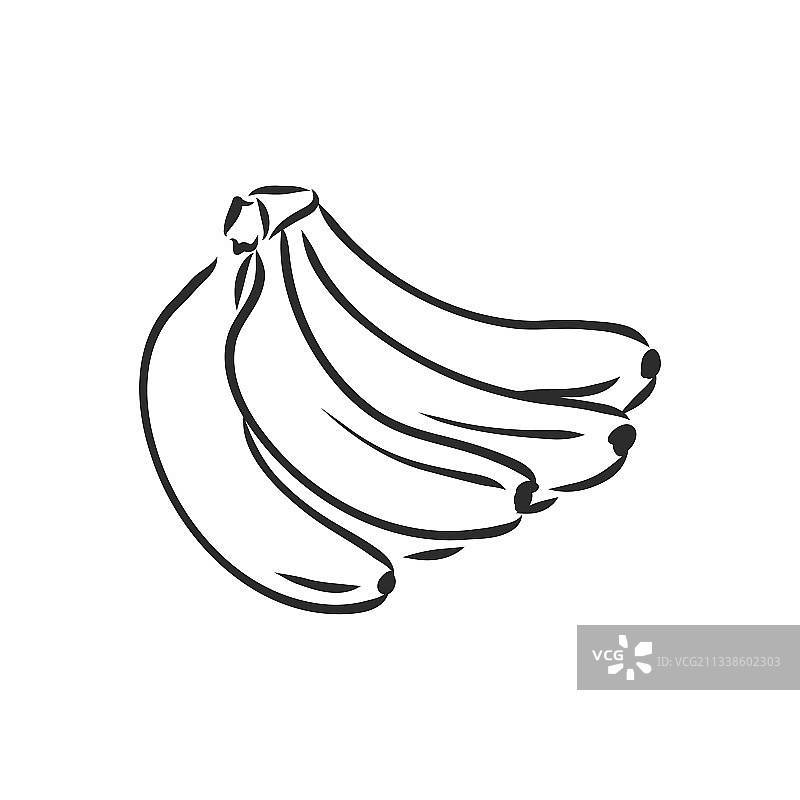 香蕉水果串有机营养健康食品图片素材