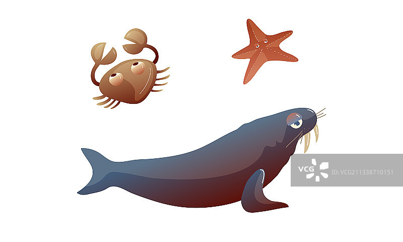 海洋水下动物有螃蟹和海星图片素材