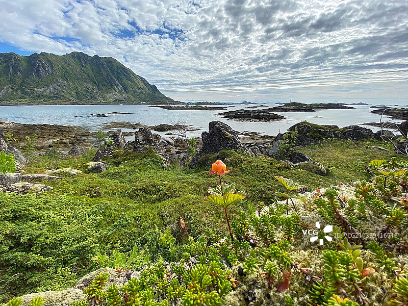 挪威Sennesvik的海景图片素材