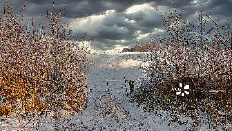 比利时，阿弗利基姆，冬季天空下的湖泊风景图片素材