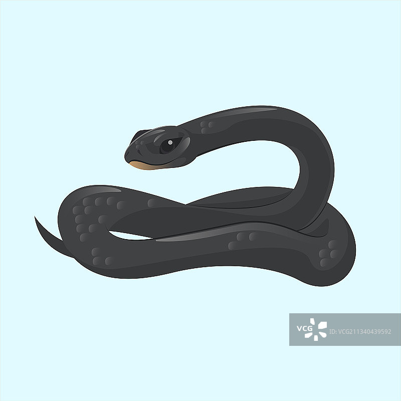 蛇热带sherpen插图图片素材