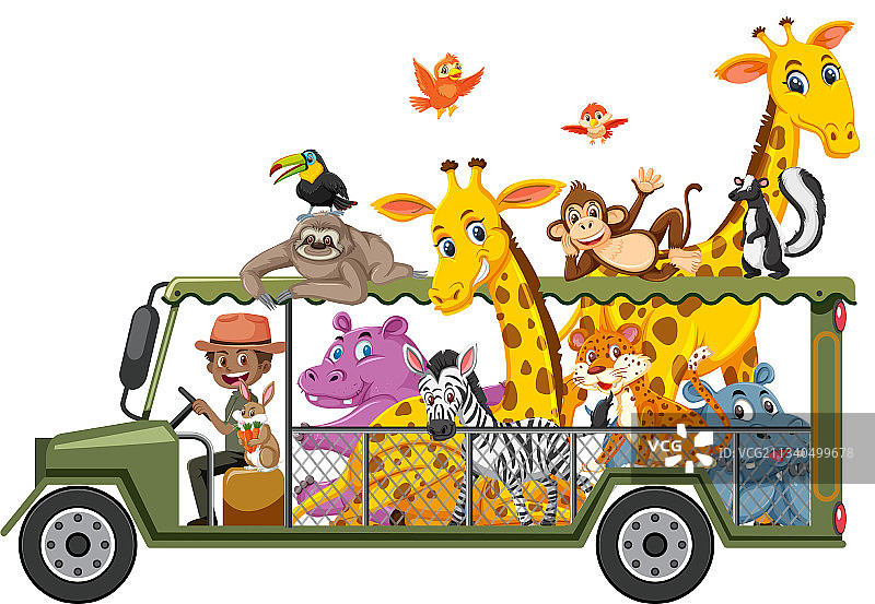 动物园概念与野生动物在车中隔离图片素材