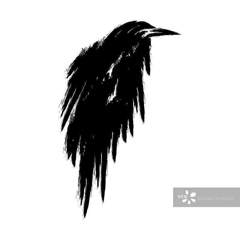 乌鸦黑鸟乌鸦鸟的剪影图片素材