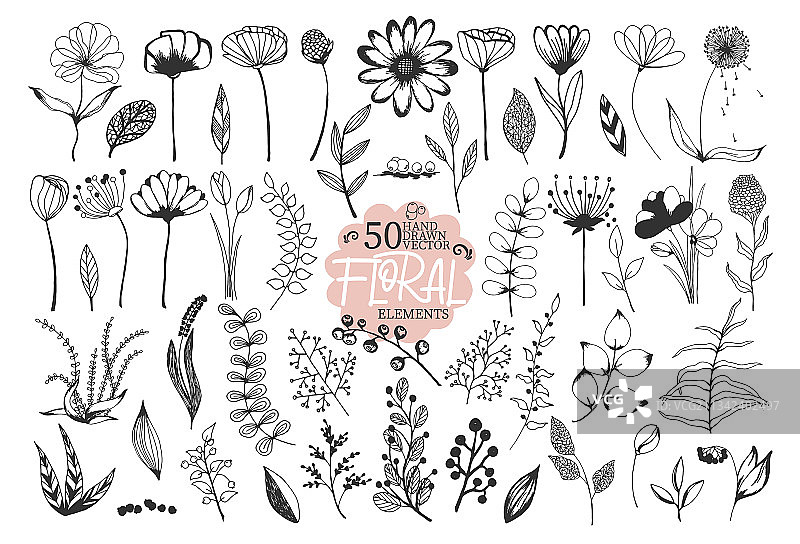 50幅手绘涂鸦写生的花和叶图片素材