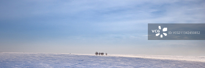 人们站在白雪覆盖的田野上，对着天空图片素材