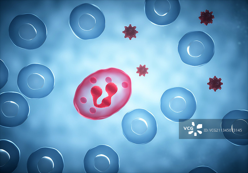 3d渲染的细胞与病毒图片素材