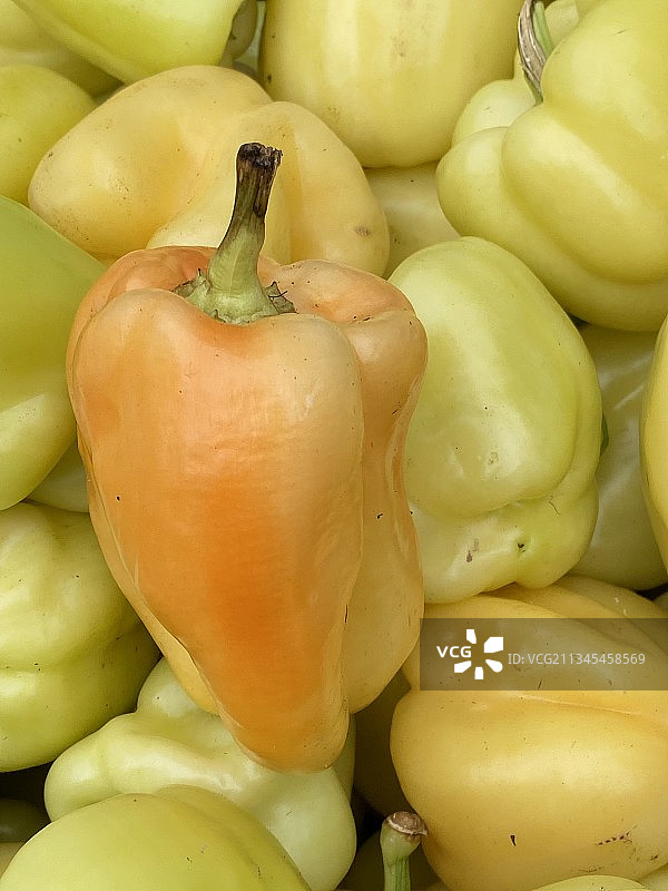 在纽约，美国，美国的市场摊位上出售的蔬菜的全框拍摄图片素材