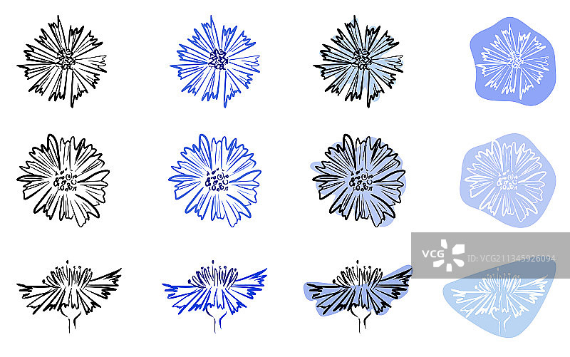 矢车菊图标设置花卉抽象的形状上图片素材