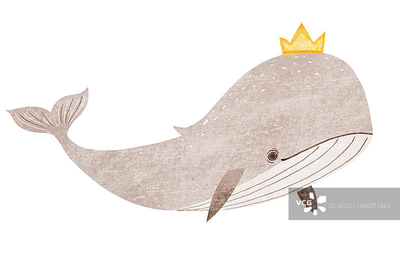 儿童插画扁平动物风格-带着王冠的灰色鲸鱼图片素材