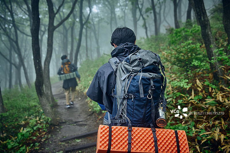 男，小径，森林，旅行，背包客，徒步旅行，步行，背包图片素材