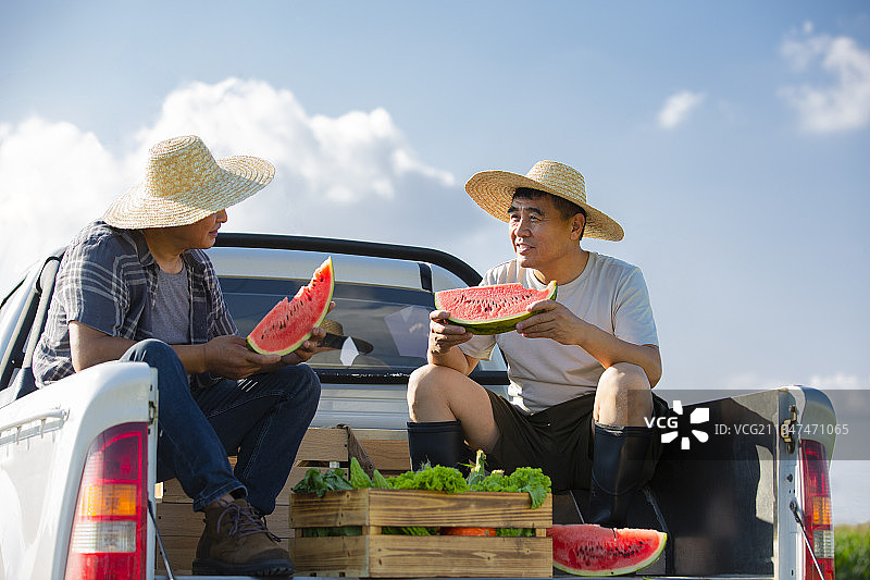 两个农民在运输蔬菜的汽车上吃西瓜休息聊天图片素材
