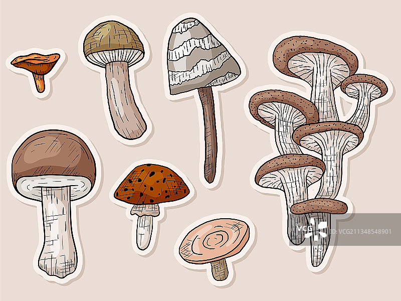 秋天的涂鸦集与森林蘑菇图片素材