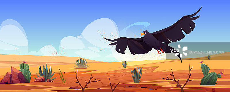 黑鹰飞越沙漠景观隼或鹰图片素材