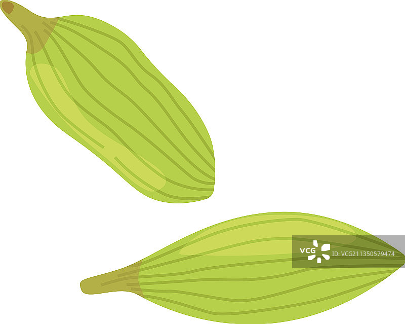 小豆蔻香料种子在平坦的卡通图片素材