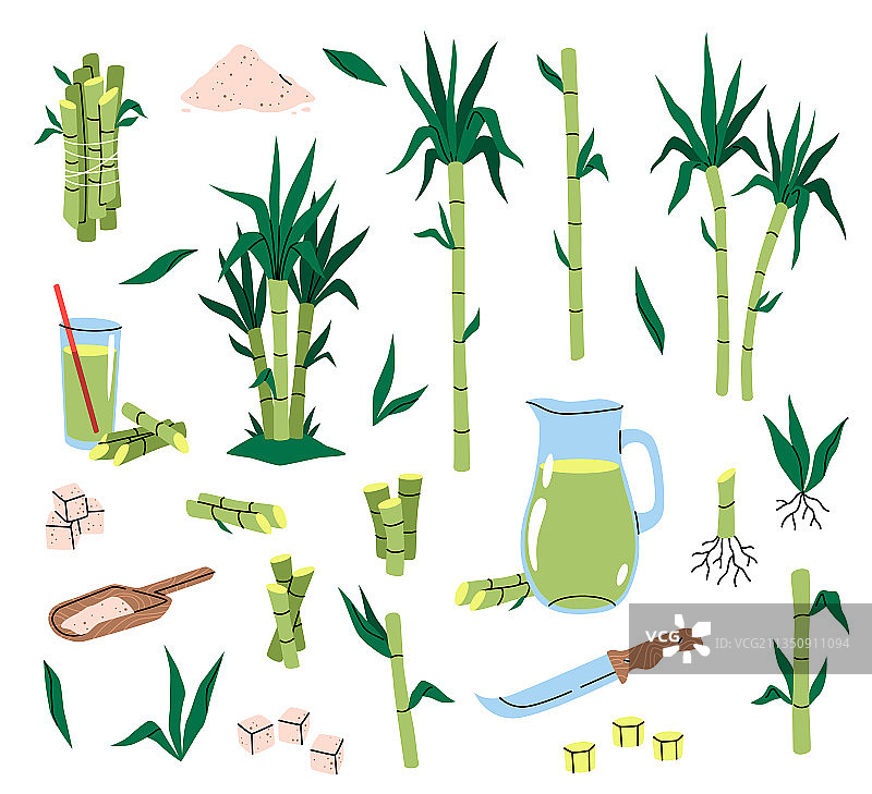 甘蔗种植在不同的热带地区图片素材