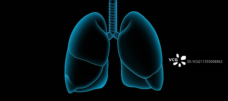 肺部插画图片素材